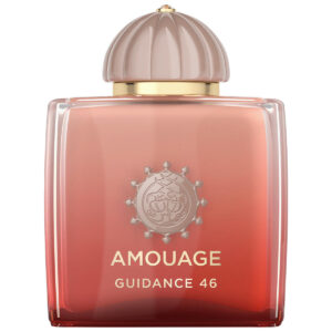 Guidance 46 (Vorverkauf)